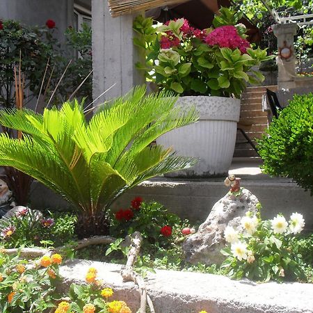 Apartments Sandra Tivat Ngoại thất bức ảnh